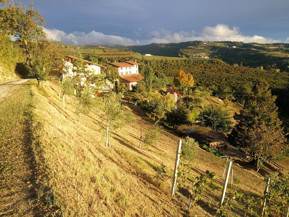 Agriturismo Sondrea 시니오 외부 사진